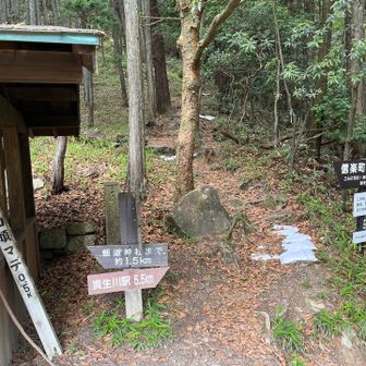 人がいて写真撮れなかったけど、ここが杖の権現茶屋休憩所。

もともとは、ここに茶屋があったってことなんやろな🤔

茶屋の横手から山頂へ。