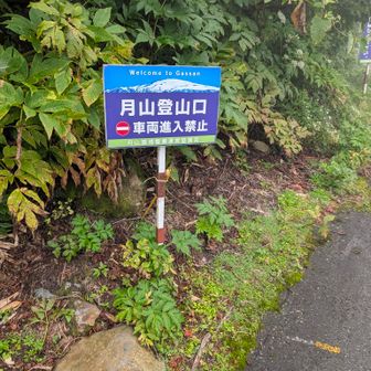リフト乗り場迄なかなかに
脚力削られます
御岳山かよっと、心で毒づく
