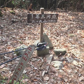 二ツ丸山～⛰️　1等三角点