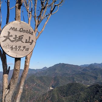 大坂山タッチでん、あぁしんどかったけど、素晴らしい眺望です。