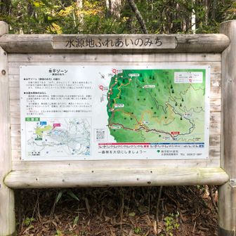 いろんなルートあるも倒木で通行止箇所あり🌲