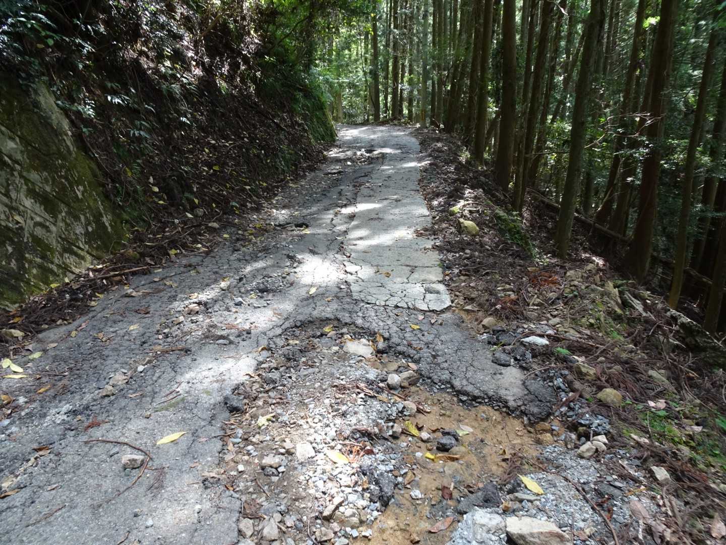 あぁ～💦　無理しなくてよかった💨　我々の車は度々パンクします😵(クギ良く踏む😣)
