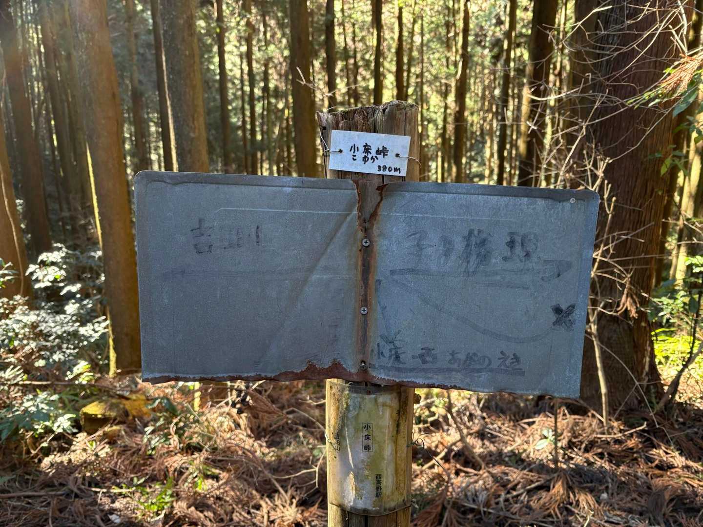 うっすら見える字を頼りに進みます
一見登山道のような道が時々現れて、その都度確認しながら進みました