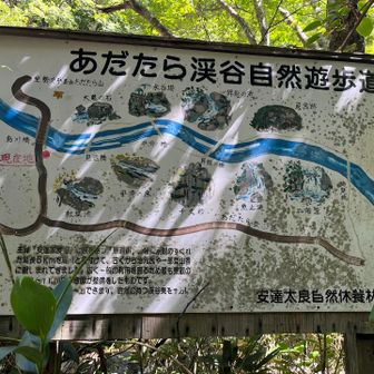 あだたら渓谷自然歩道って言うのね。