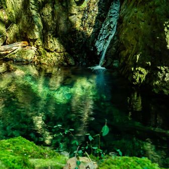 やーさんは以前来たことあるお山なのに
快くお付き合いして下さり…
感謝(ㅅ´꒳` )✨