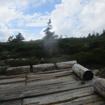 祖母岳の山頂付近
ウッドデッキがありましたが、山名板は見当たらず💦