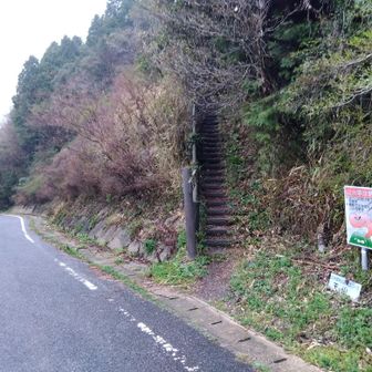 明け方まで降っていた雨も先ほどやんだので、七曲登山口からスタート。