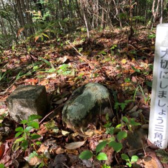 本当の山頂、三角点発見！