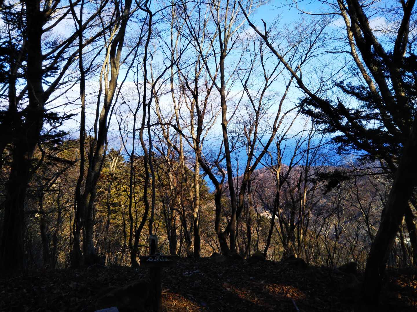 尾根に出て右に進み石峰山の山頂に到着です。
北上川が注ぐ追波湾に浮かぶ島々が木々の間から見えます❗️