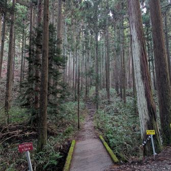 下山時は、誰もいないので、エド·シーラン🎶爆音で聴きながら、急ぎ脚で👣
暗くなるのがはやい印象😵‍💫
そして、第一駐車場🅿️には、A師匠の車とアタクシの車の2台のみ😨

今日もオモローな鞍掛山でした🐸
ありがとうございました😎