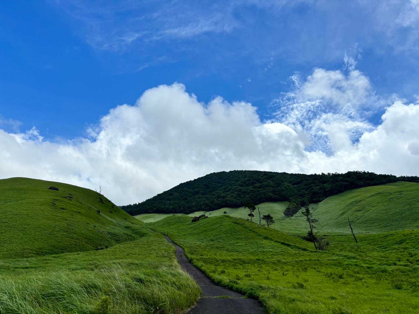 おにぎり山を目指します⛰️