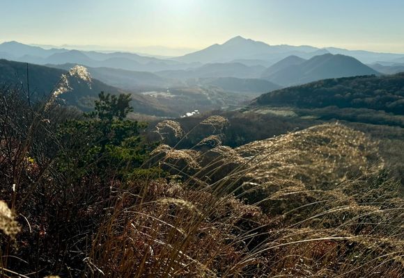 あらたやま タタラ山（大阪） | YAMAP / ヤマップ