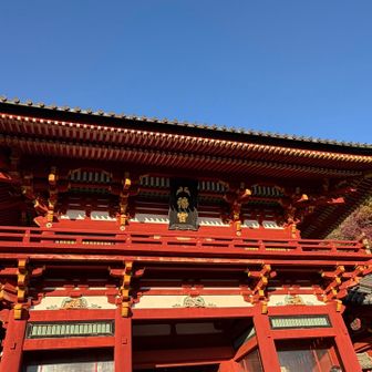 鶴岡八幡宮に到着
ここは特に大賑わいでした