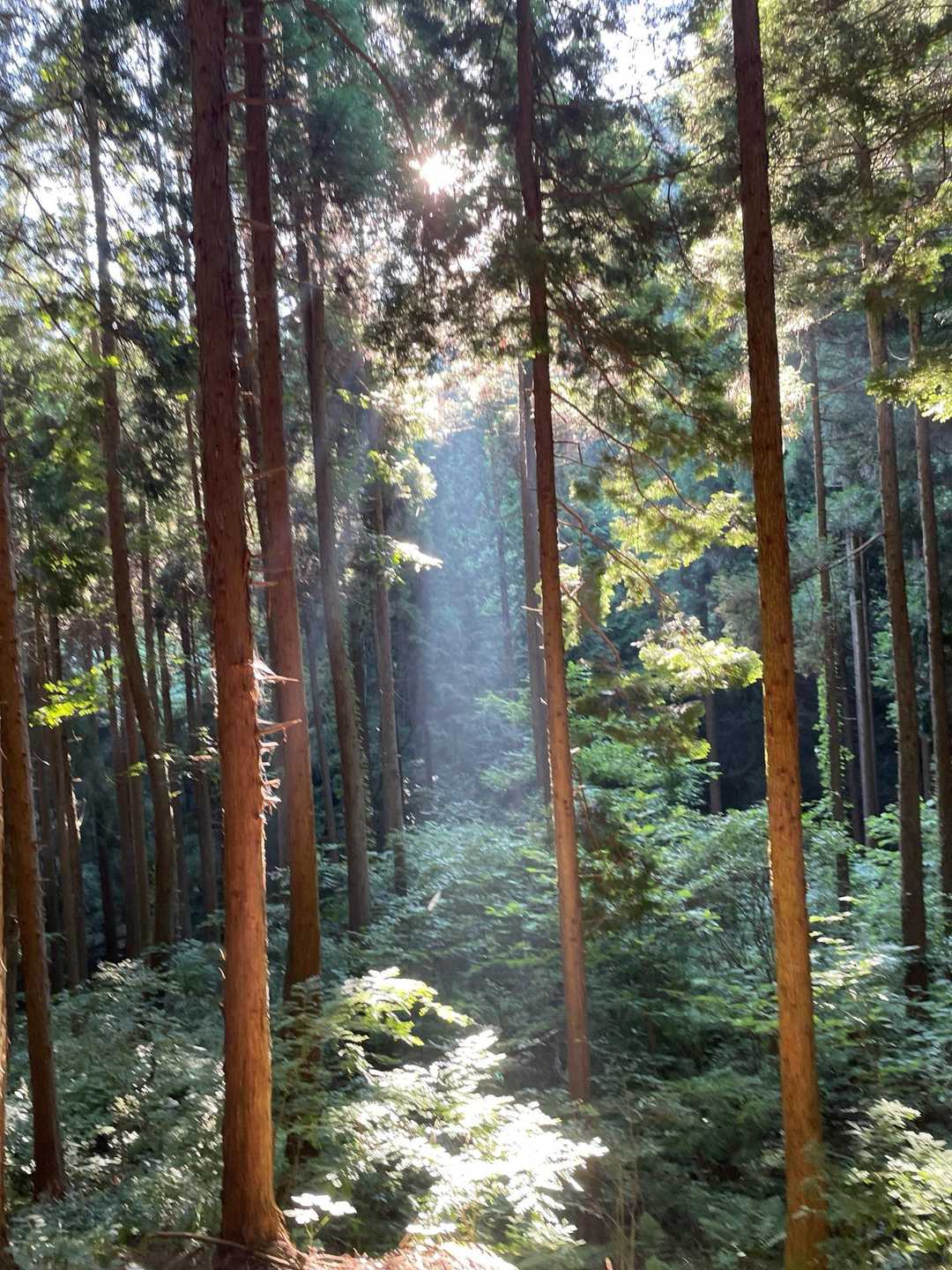 吉和冠山 汐谷コースの写真