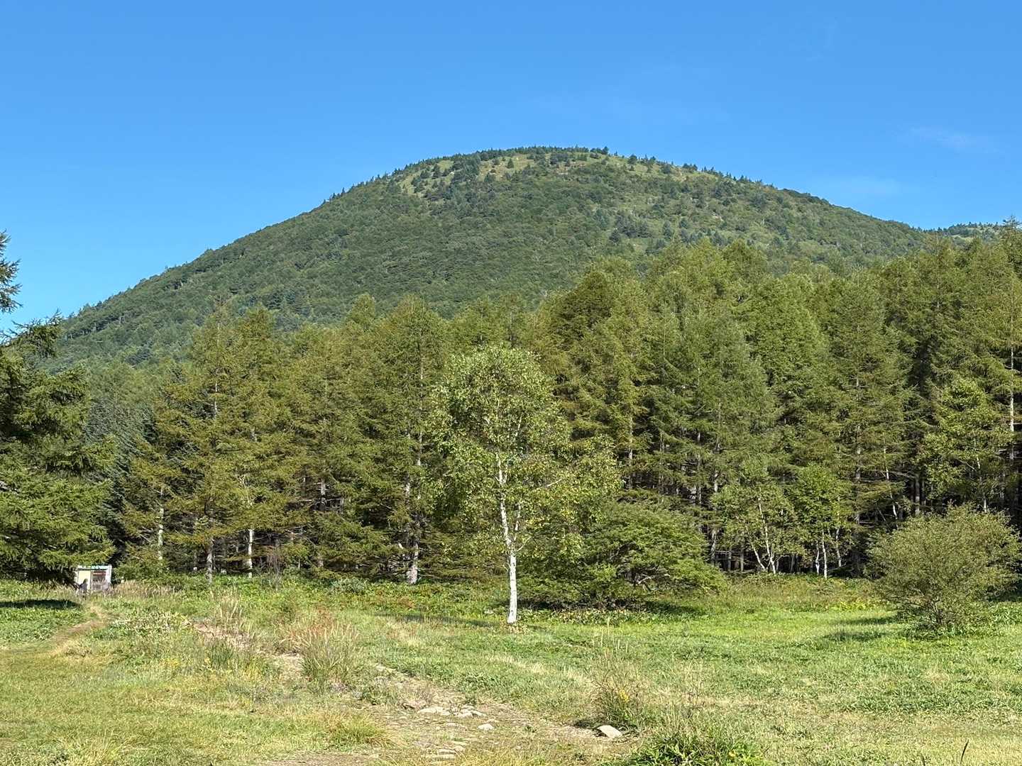 快晴☀️
到着時の気温は19度！
でも朝日を背中に浴びてのゲレンデ登りは前回けっこうきつかったので、今回は木陰の多いキャンプ場から湯ノ丸山を目指します😀