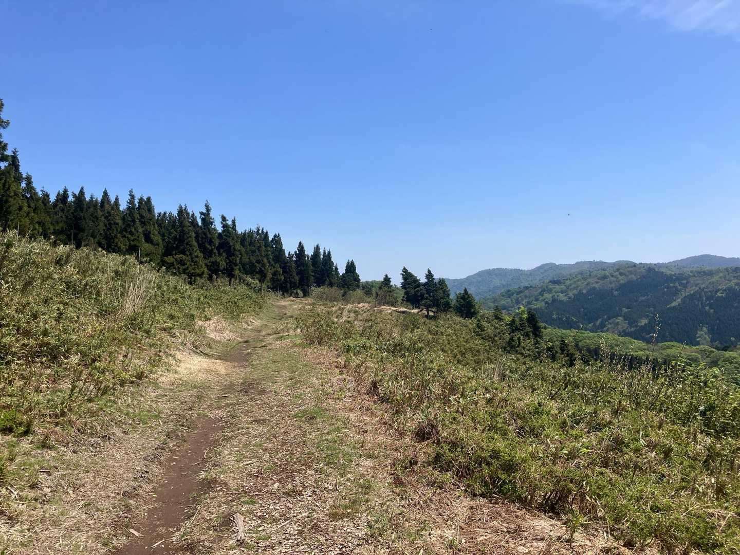 伯州山-霧ヶ原 往復コースの写真