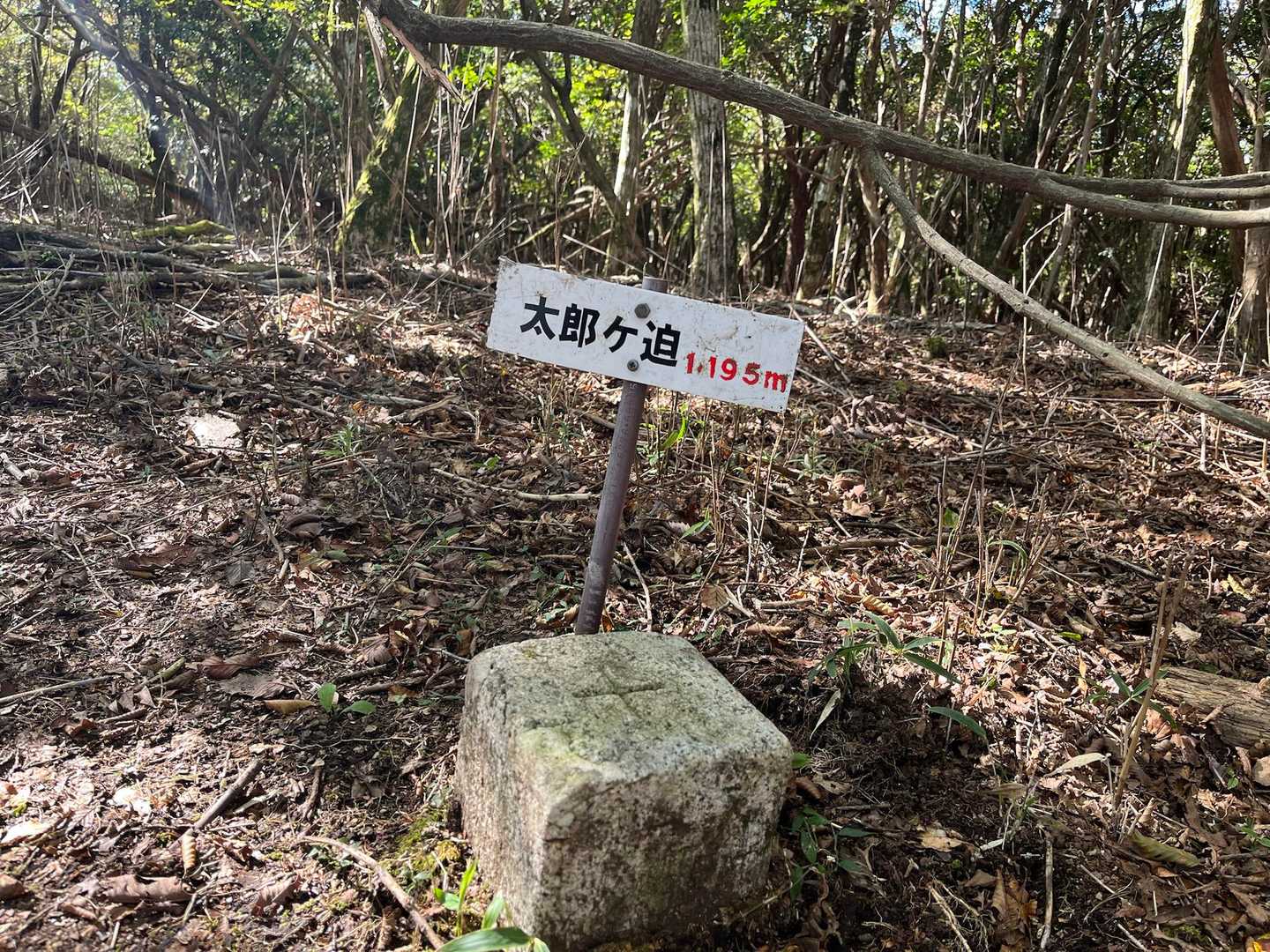 三座目
