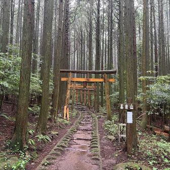 鳥居が連なっているけれどお稲荷さんではない