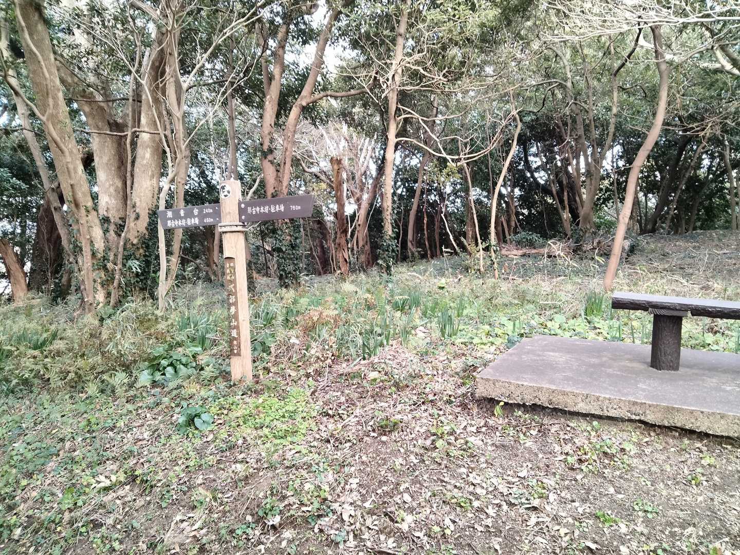 このあたりが山頂です