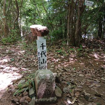(五月山こと)千代山⛰️山頂&三角点