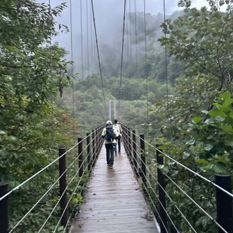 行ってきまーす