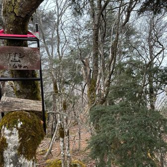 毛無山の最高点