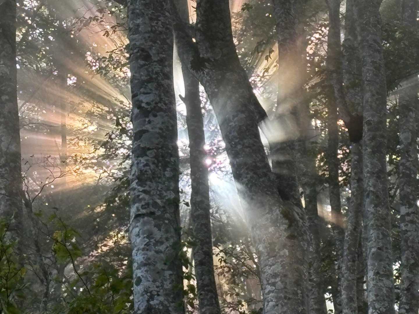 神様⁉️