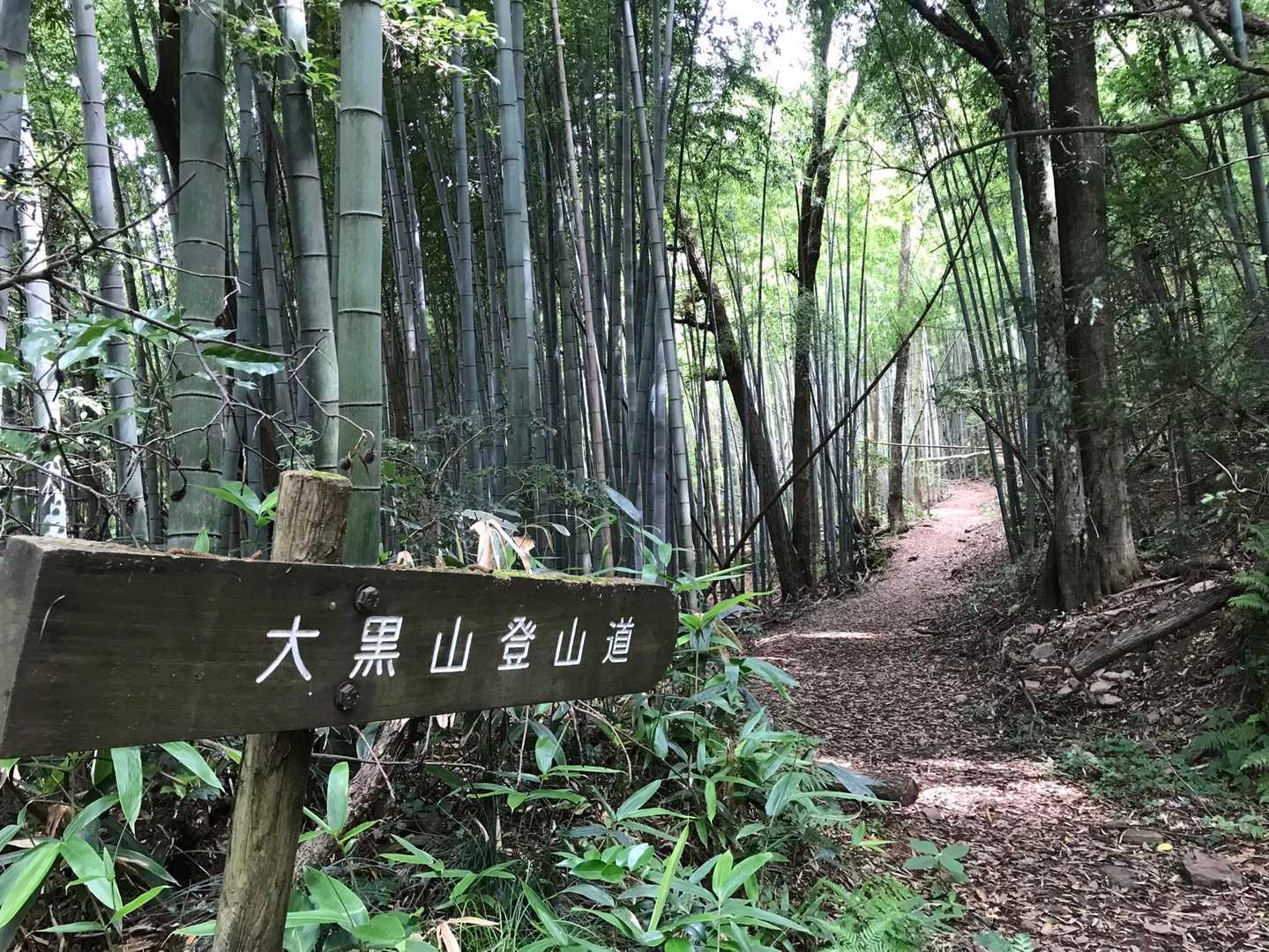 山陰道の高架をくぐり、登山道へ入ります
