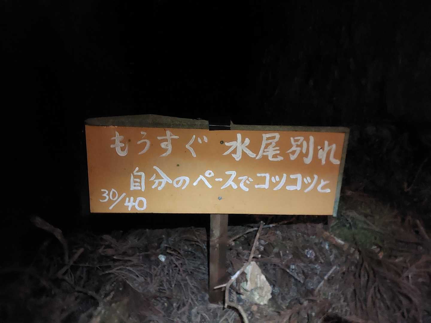 もう少しかな🤔
