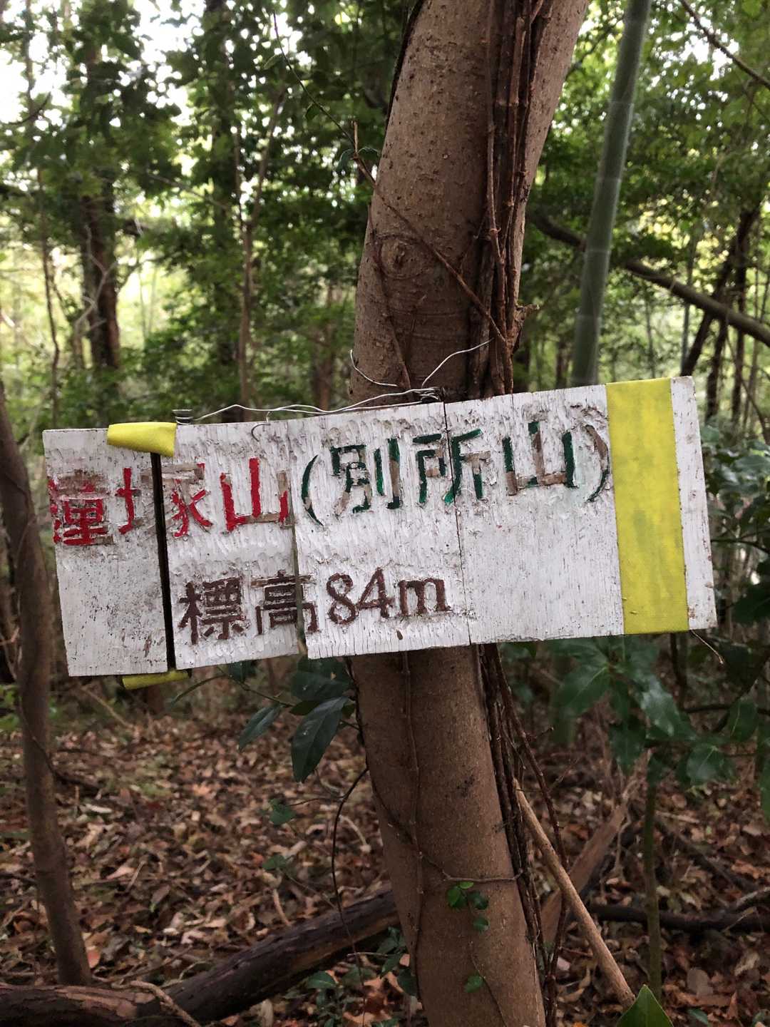別所山山頂です⛰
・・鐘塚山とも言うんですかね❓🤔
