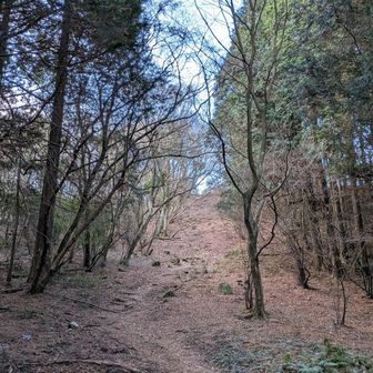 登りのペースを頑張ってあげる。
鬼岩への最後の登り。

登りでの筋肉の使い方も教えてもらったので
最近実践してみたら全然違う。
登りはもちろんきついけど、以前のようにはない。