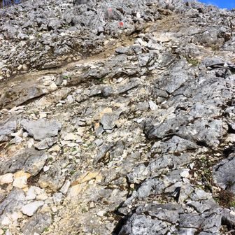 近江展望台からは急な下りになります。途中振り返るとなかなか急な傾斜で驚きました。