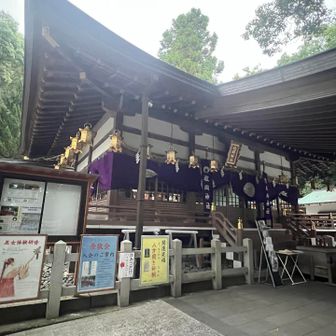 巫女体験楽しそう