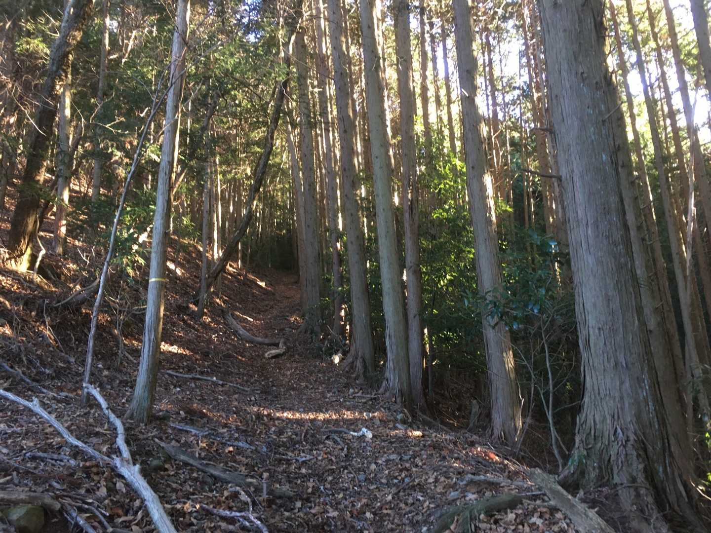 急坂ばかり続きます。