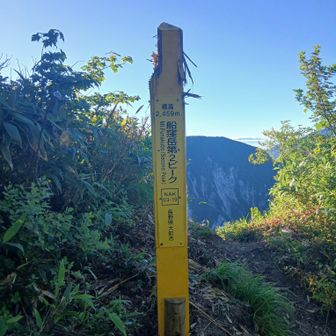 船窪岳第２ピークに到着。木に囲まれた山頂。