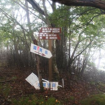 五勇山直登ルート（写真左）から来ました。写真右のトラバースルートは荒れ気味でリーダーは使いたくなかったとのことで。