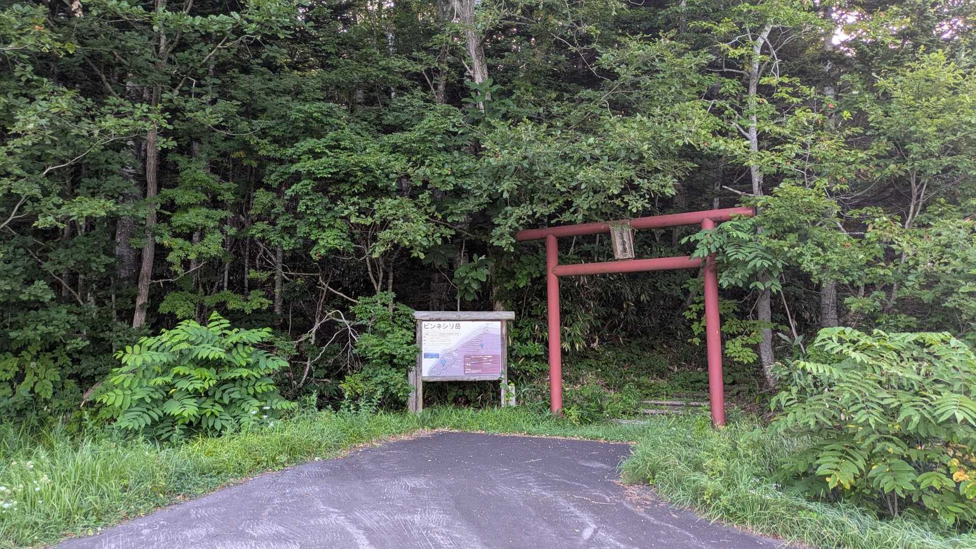 この鳥居からスタート⛩️