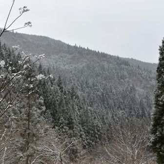 雪の山は、静かでした