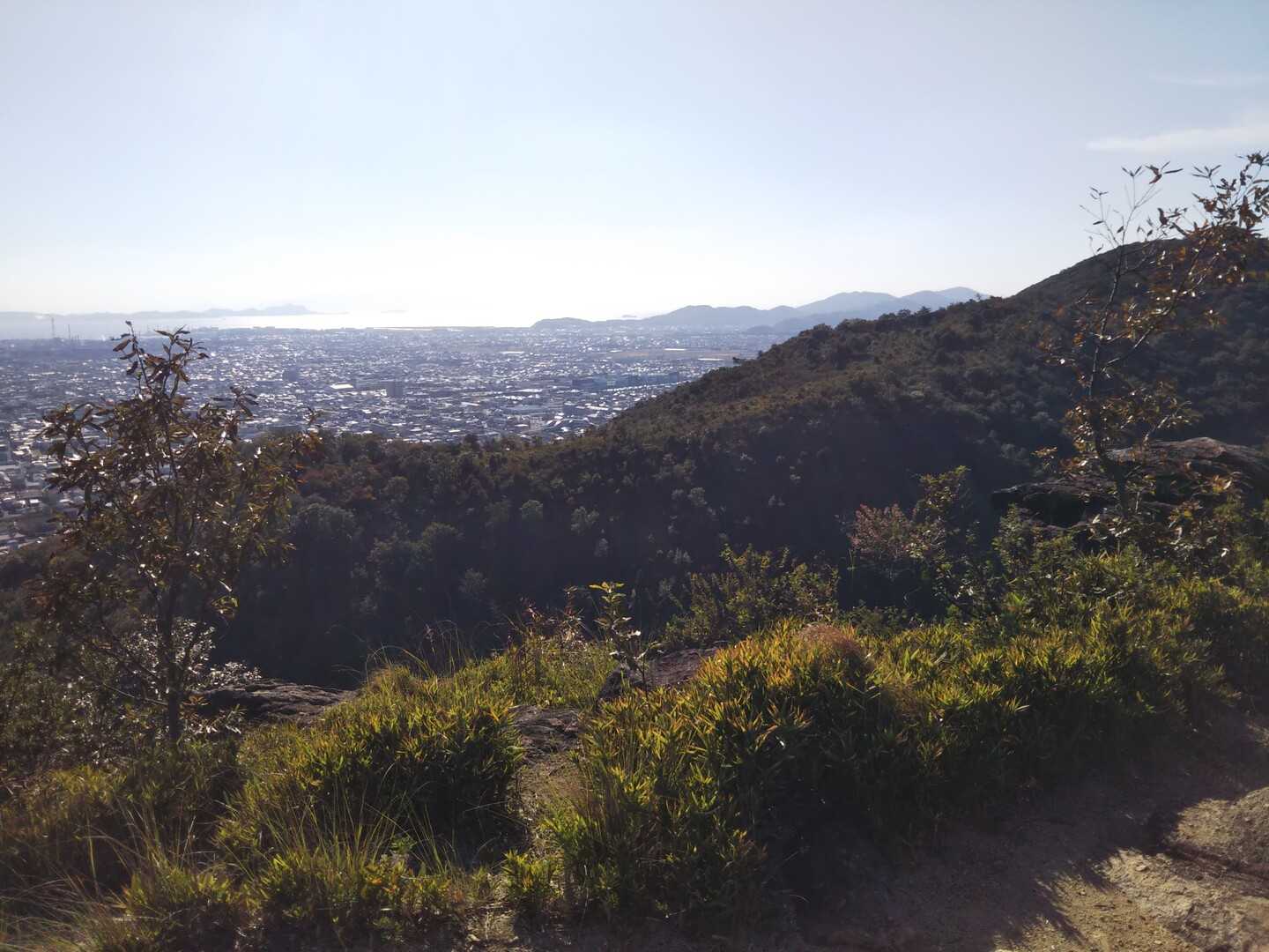 京見山の写真