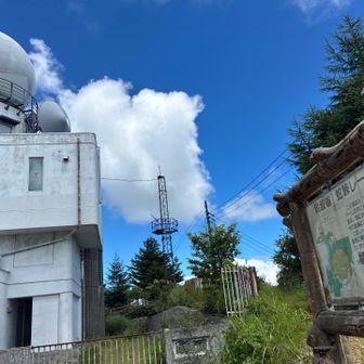 これも。よくこんな場所に造るね。