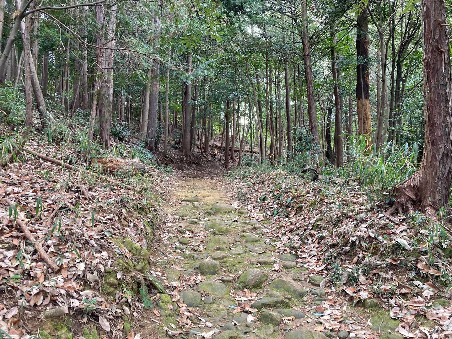 西登山道