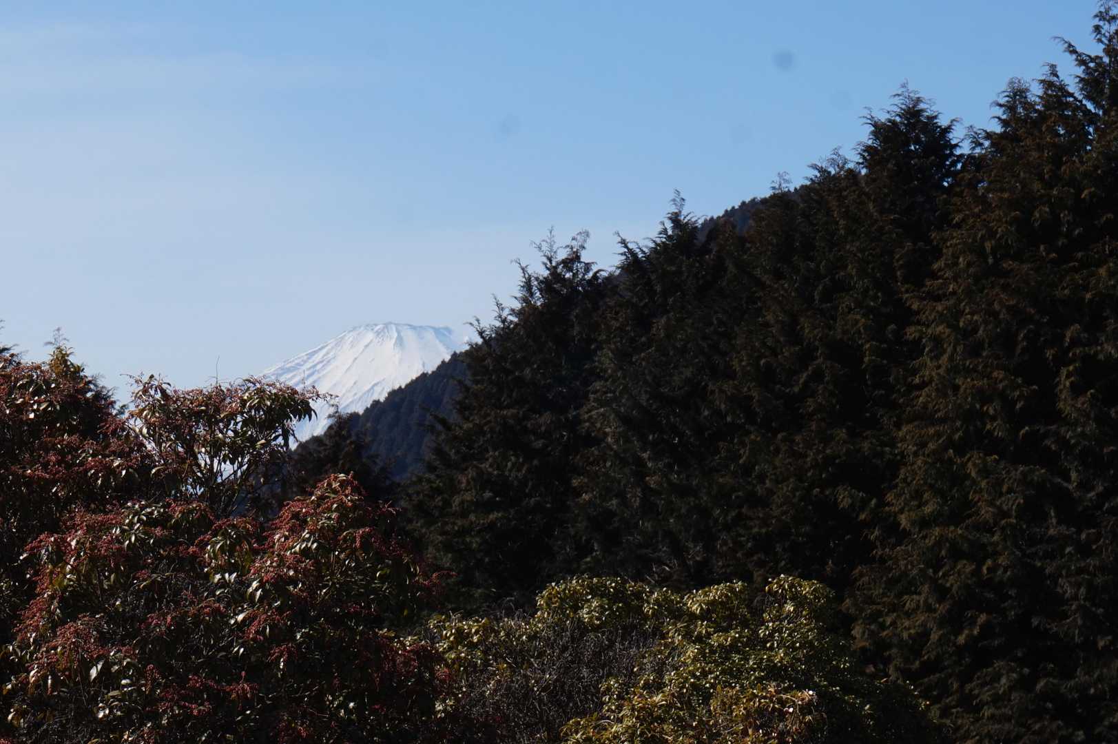 🗻が恥ずかしそう😓