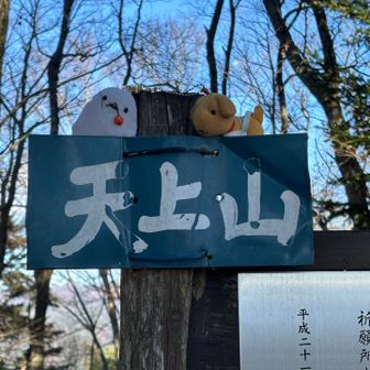 展望台から15分で天上山ピーク😅