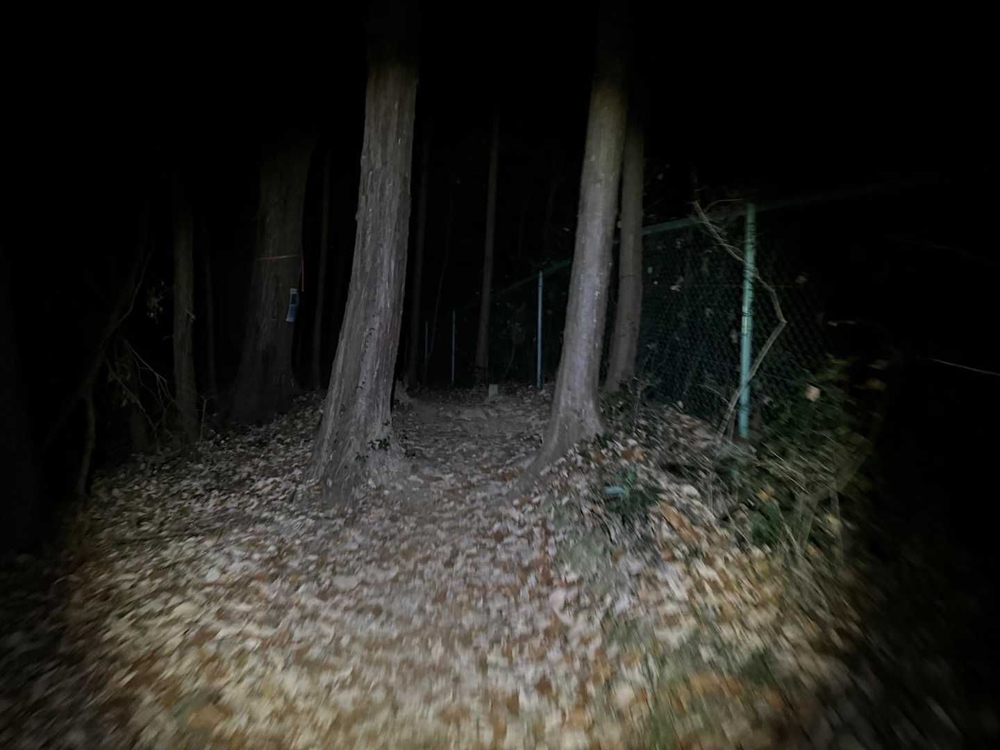 月明かり、街明かりも届かず辺りは真っ暗
ヘッデンのみが道標となります