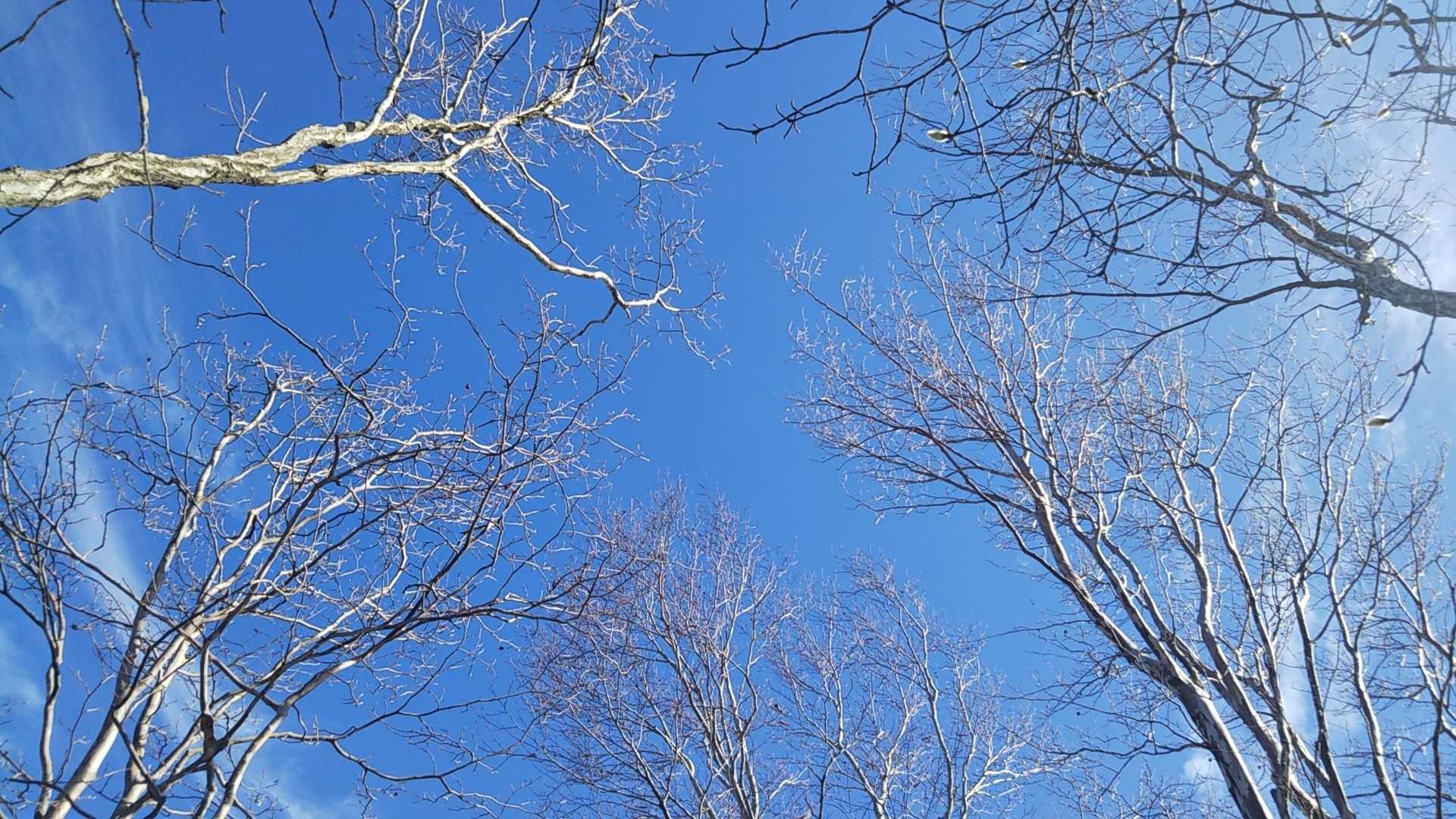 キレイな青空😆
このアングルは初めてかも🎵