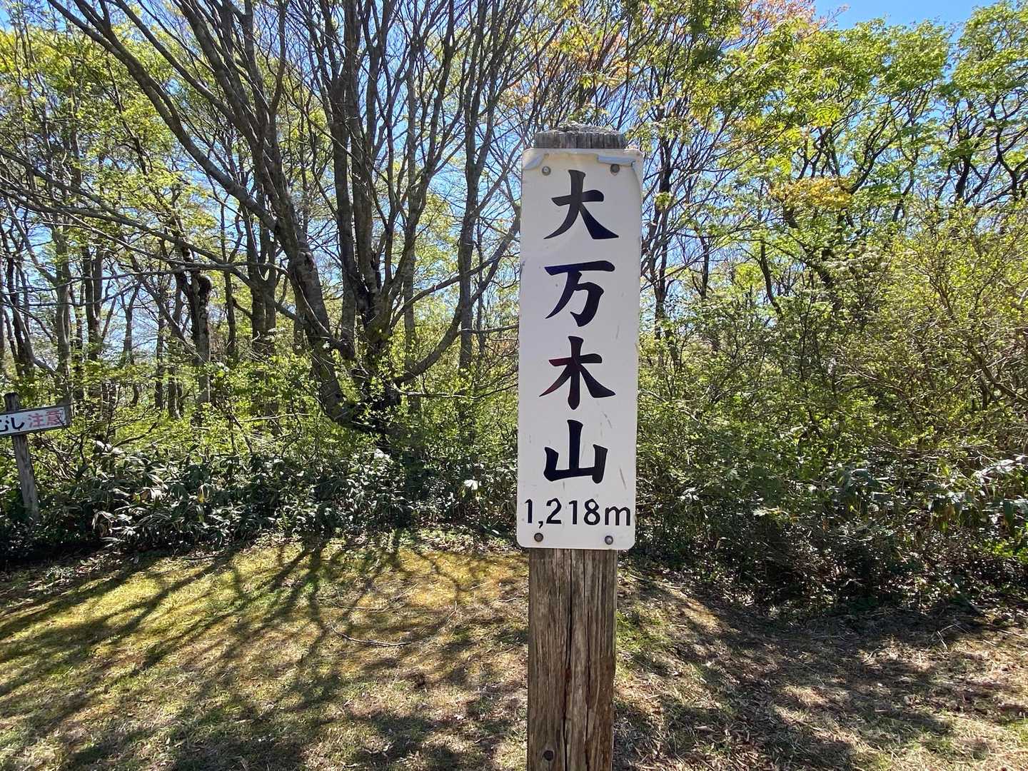 大万木山 往復コースの写真