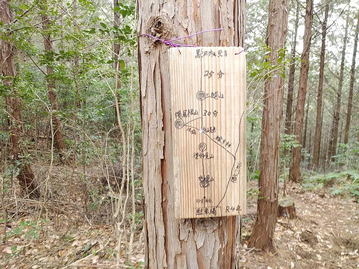 三越山-黒河内山 往復コースの写真