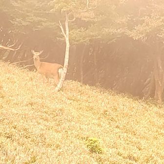カメラ目線✨