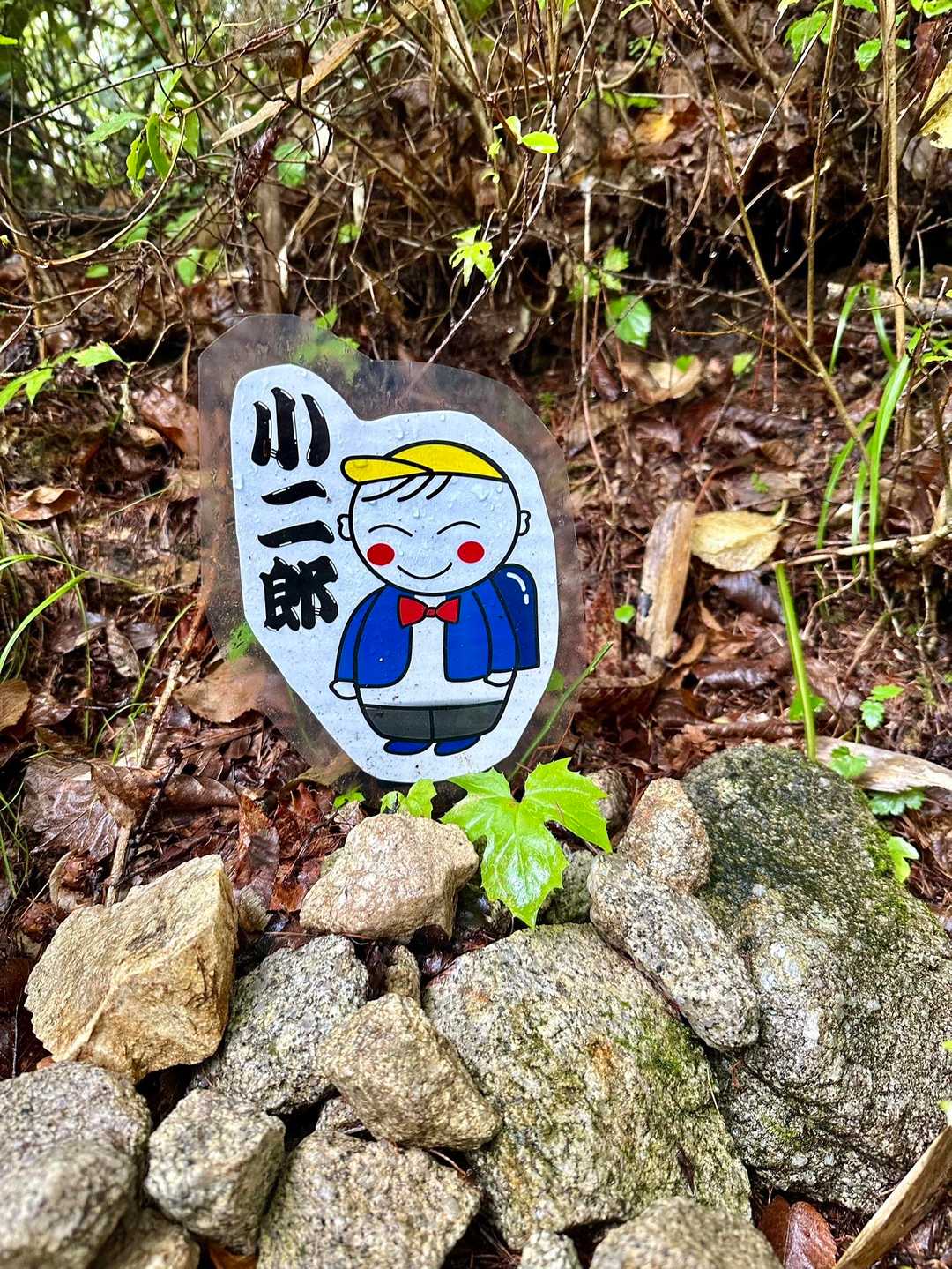 小八郎岳のキャラクター
小二郎　小学生ですね

あれ？
小一郎（赤ん坊👶）は見逃したか💦