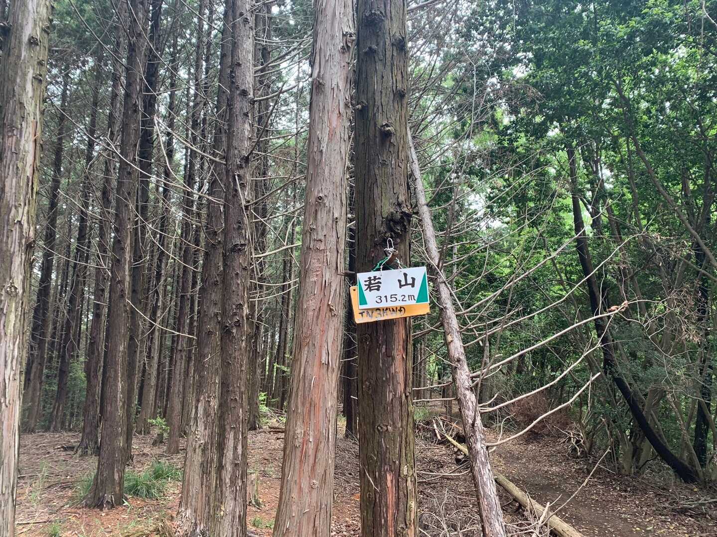若山の写真